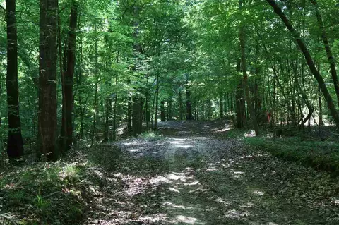 1187 Cox Ferry Rd, Bentonia, MS 39040 photo 30