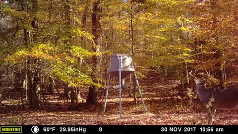 1187 Cox Ferry Rd, Bentonia, MS 39040 photo 37
