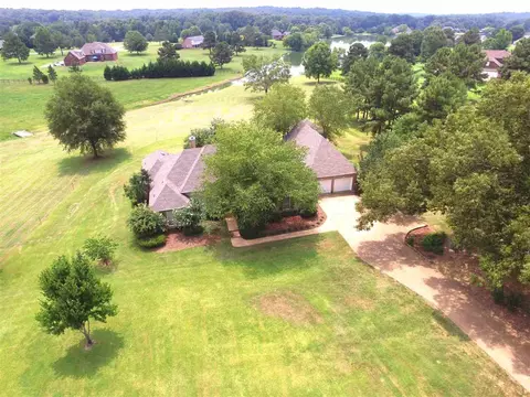 105 Meadowview Ln, Flora, MS 39071 photo 8