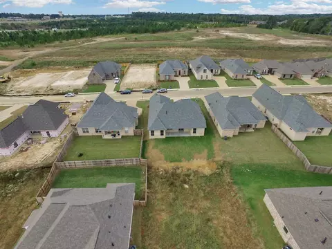 338 Emerald Way, Brandon, MS 39047 photo 46