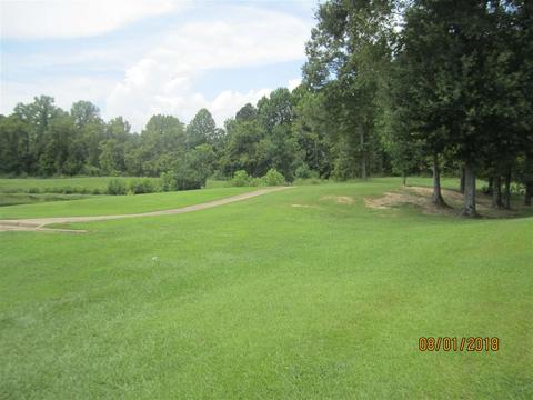 415 Glendale Pl, Brandon, MS 39047 photo 50