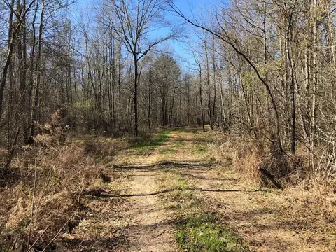 6061 Hwy 27, Hazlehurst, MS 39078 photo 7