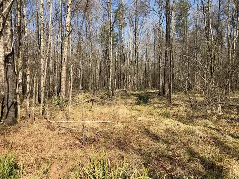 6061 Hwy 27, Hazlehurst, MS 39078 photo 9