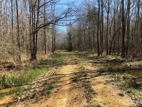 6061 Hwy 27, Hazlehurst, MS 39078 photo 6