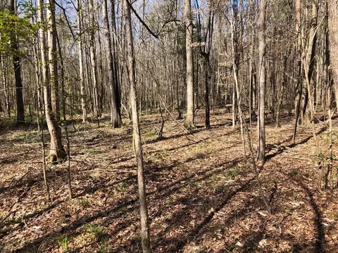 6061 Hwy 27, Hazlehurst, MS 39078 photo 27