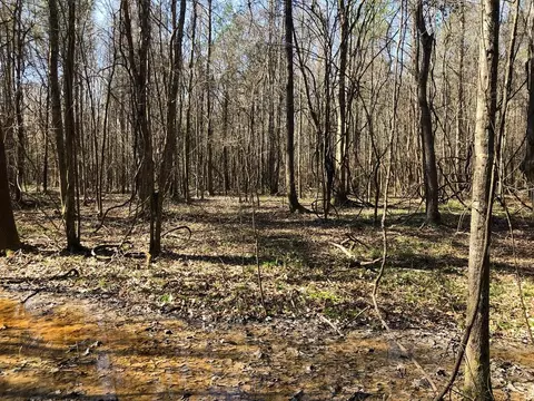 6061 Hwy 27, Hazlehurst, MS 39078 photo 26