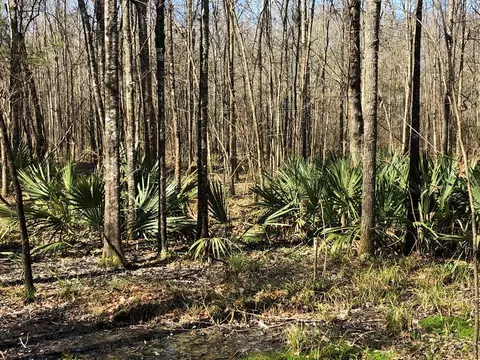 6061 Hwy 27, Hazlehurst, MS 39078 photo 20