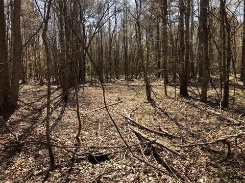 6061 Hwy 27, Hazlehurst, MS 39078 photo 25