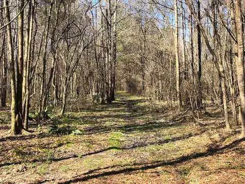 6061 Hwy 27, Hazlehurst, MS 39078 photo 28