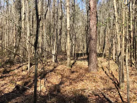 6061 Hwy 27, Hazlehurst, MS 39078 photo 11