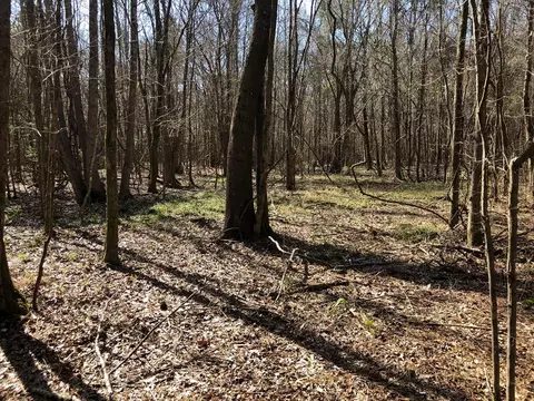 6061 Hwy 27, Hazlehurst, MS 39078 photo 24