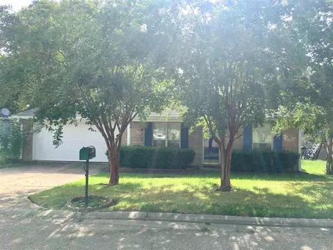 118 Windchase Dr, Brandon, MS 39042 photo 9