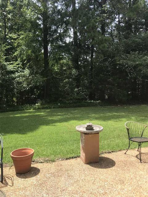 111 Michel St, Brandon, MS 39042 photo 44
