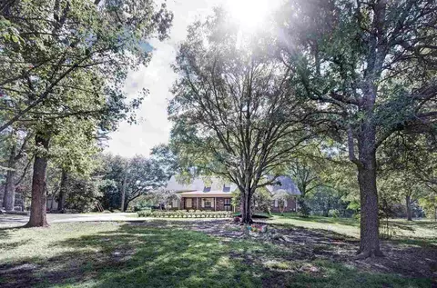 1204 Mikelle Rd, Jackson, MS 39209 photo 4