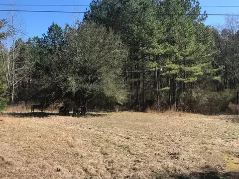 3172 Enterprise Rd, Summit, MS 39666 photo 1