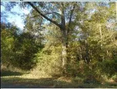 47 S Powell Rd, Jayess, MS 39641 photo 1