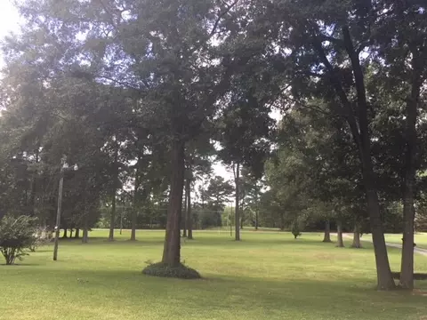 250 Burnham Rd, Brandon, MS 39042 photo 12