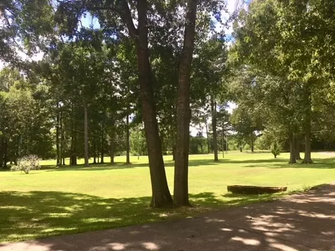 250 Burnham Rd, Brandon, MS 39042 photo 7