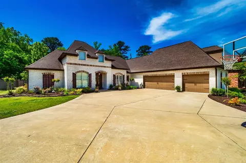 124 Pinnacle Cir, Brandon, MS 39047 photo 1
