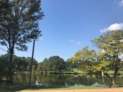 133 Murial St, Clinton, MS 39056 photo 36