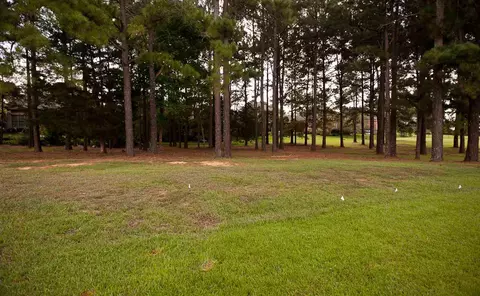 161 Vinings Dr, Madison, MS 39110 photo 29