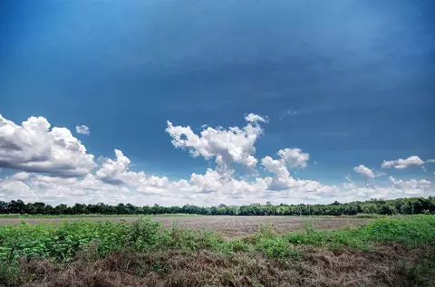 107 Gunter Rd, Canton, MS 39046 photo 1
