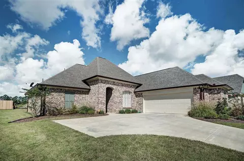 289 Winterfield Ct, Brandon, MS 39042 photo 29