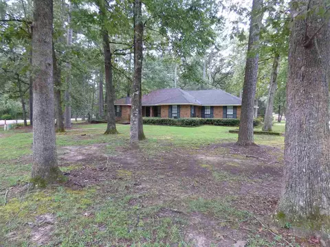 307 Forest Point Dr, Brandon, MS 39047 photo 3