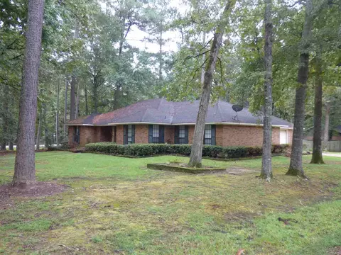 307 Forest Point Dr, Brandon, MS 39047 photo 4