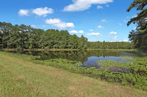 1107 Trickham Bridge Rd, Brandon, MS 39042 photo 32