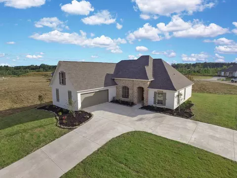 126 Longleaf Way, Flowood, MS 39232 photo 1