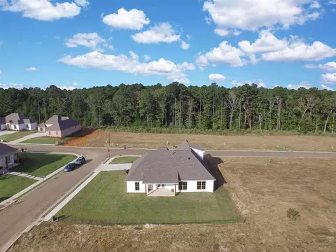 126 Longleaf Way, Flowood, MS 39232 photo 41
