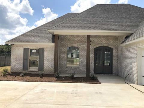 123 Bridge Walk Dr, Canton, MS 39046 photo 2
