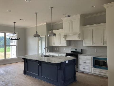 123 Bridge Walk Dr, Canton, MS 39046 photo 10