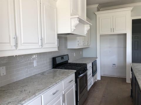 123 Bridge Walk Dr, Canton, MS 39046 photo 7