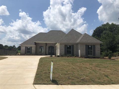 123 Bridge Walk Dr, Canton, MS 39046 photo 3