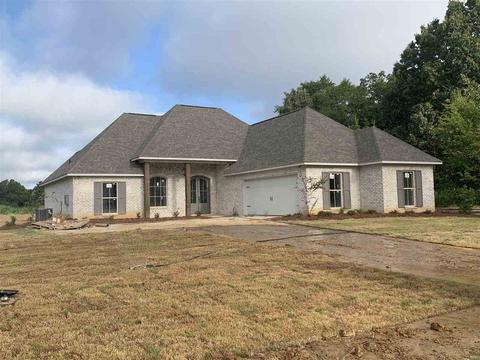 123 Bridge Walk Dr, Canton, MS 39046 photo 1