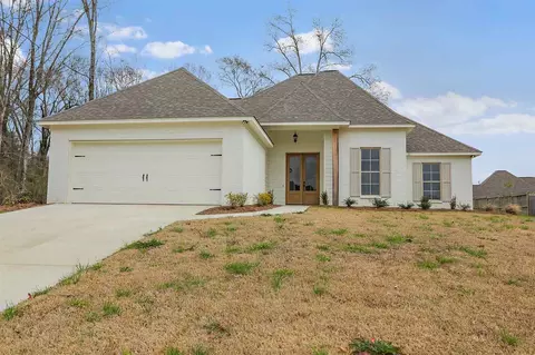 122 Bridge Walk Dr, Canton, MS 39046 photo 1
