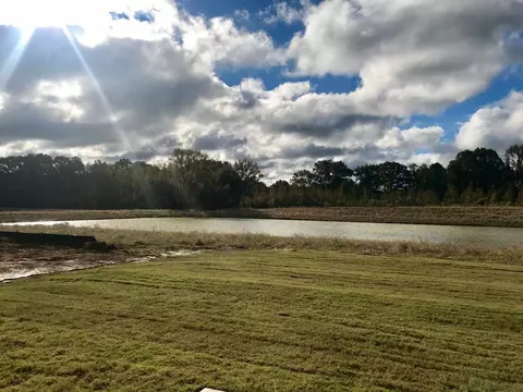 196 Falls Crossings, Madison, MS 39110 photo 23