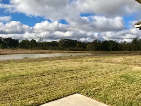 196 Falls Crossings, Madison, MS 39110 photo 22
