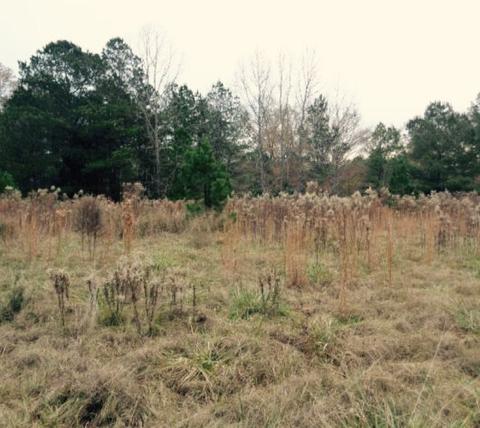 3619 Highway 18 None, Brandon, MS 39042 photo 2