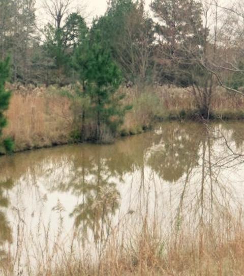 3619 Highway 18 None, Brandon, MS 39042 photo 1