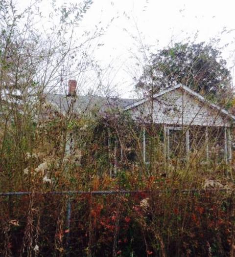 3619 Highway 18 None, Brandon, MS 39042 photo 5
