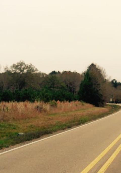 3619 Highway 18 None, Brandon, MS 39042 photo 4
