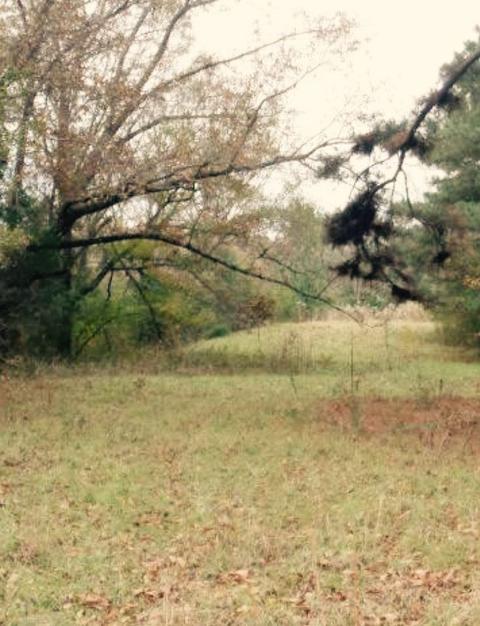 3619 Highway 18 None, Brandon, MS 39042 photo 3