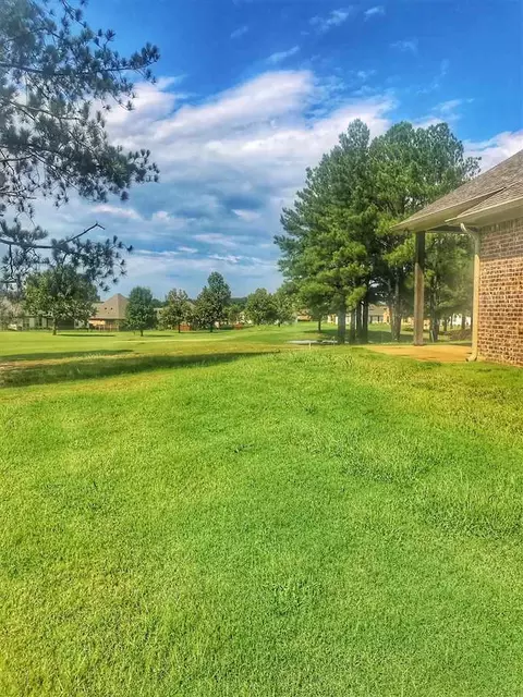 137 Greenway Ln, Madison, MS 39110 photo 16