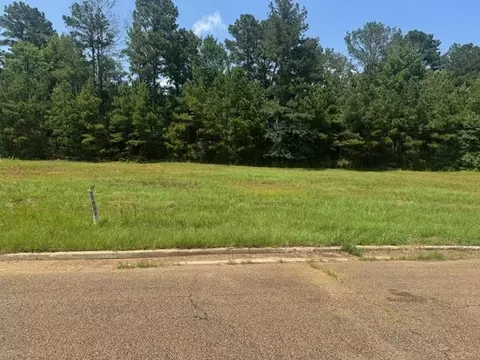 lot4 Business Center Dr, Mccomb, MS 39648