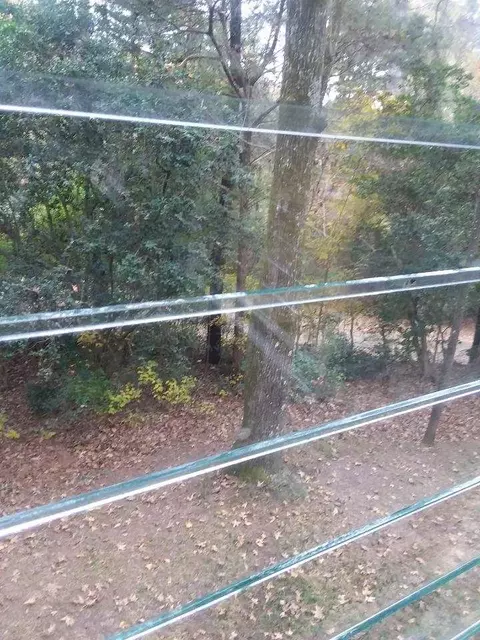 310 E Dewey Camp Rd, Florence, MS 39073 photo 5