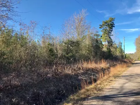 tbd Friendship Rd And Shamrock, Mccomb, MS 39648 photo 3