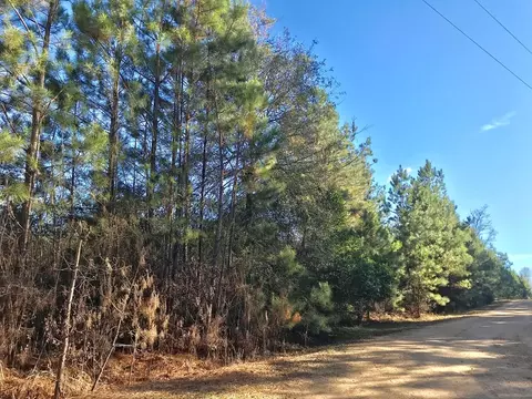 tbd Friendship Rd And Shamrock, Mccomb, MS 39648 photo 1